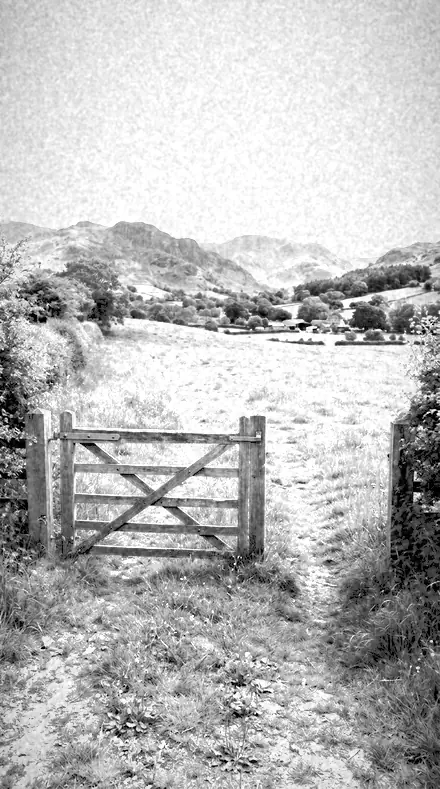 Graded with Infrared Look + Red Filter: The field, red filtered