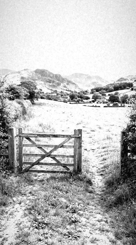 Chlorophyll Glow applied to The field, red filtered