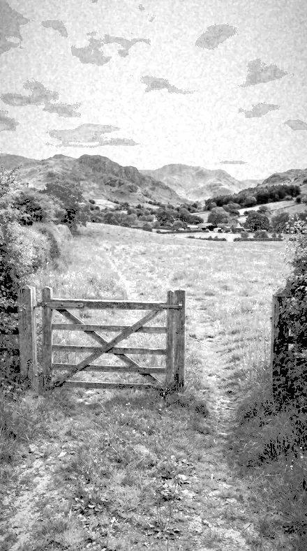 Dark Zenith applied to The field, red filtered