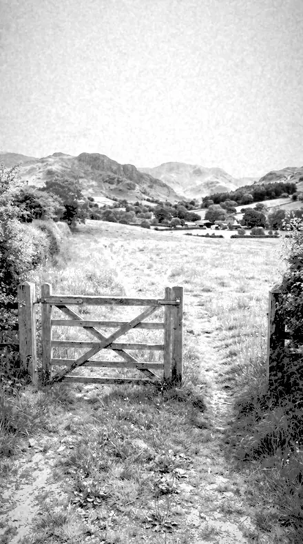 Halation Edge applied to The field, red filtered