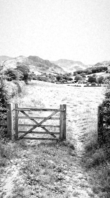 Orchard Bright applied to The field, red filtered
