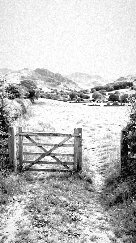 Heat Signal applied to The field, red filtered