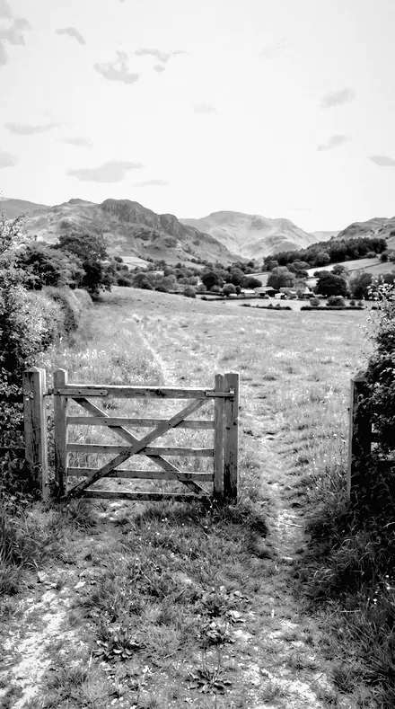 Skyline Cut applied to The field, red filtered