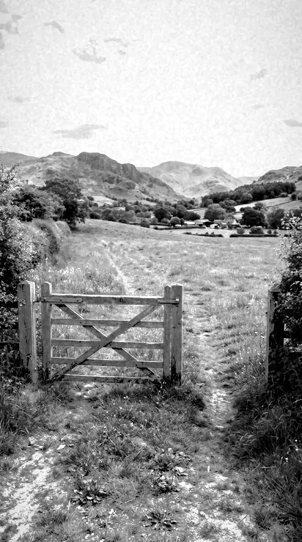 Foliage Lift applied to The field, red filtered