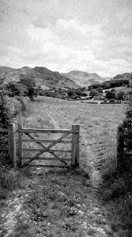 Pine Stand applied to The field, red filtered