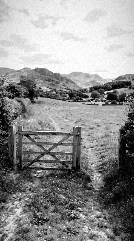 Stop Ring applied to The field, red filtered
