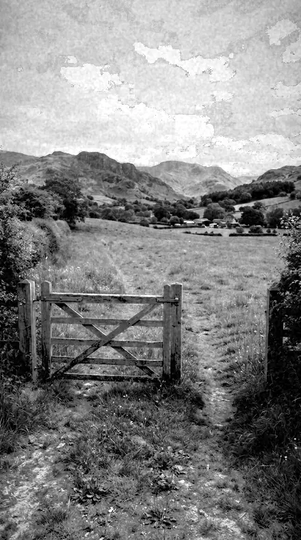Drystone Wall applied to The field, red filtered